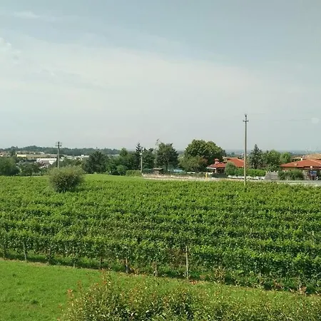 In Collina *
